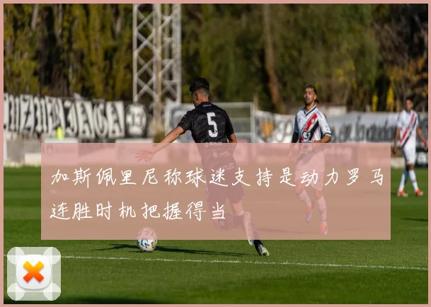加斯佩里尼称球迷支持是动力罗马连胜时机把握得当