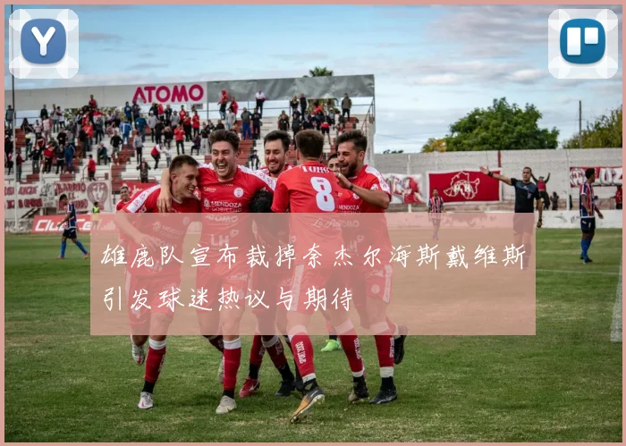 雄鹿队宣布裁掉奈杰尔海斯戴维斯引发球迷热议与期待